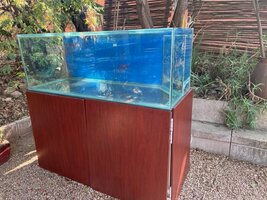 Display Tank on Stainless Steel Stand, Sump and Top Up Reservoir for sale as a set