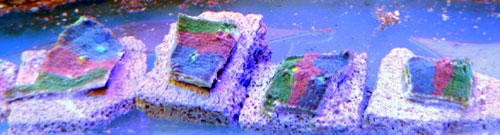 50754083c90129b4.jpg