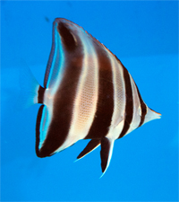 83285364a9180b7dd.jpg