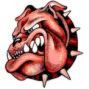 THE ANIMAL's Avatar