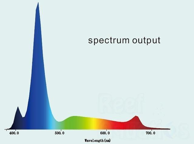 Spectral%20Graph.jpg