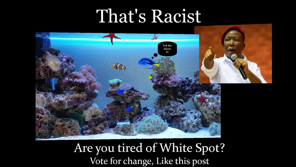Racist Reef3.png