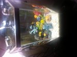 20130830_202815.jpg