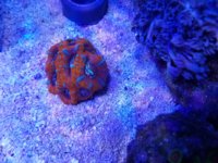 20180123_155621.jpg