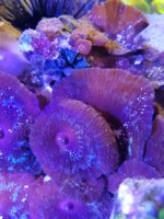 20180123_155655.jpg