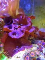 20180509_115556.jpg
