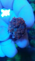 IMG-20190507-WA0141.jpeg