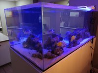 IMG_20190819_182427.jpg