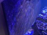 IMG_0587.jpg