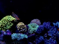 3D59859D-3B8E-4C07-A939-4DE2CE7178A2.jpeg