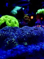 D986B8ED-9AD2-44A7-9C71-C688914BB007.jpeg