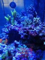 IMG_20200428_170405.jpg