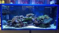 20201029_132011.jpg
