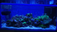 20201108_212818.jpg