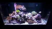 20201206_183458.jpg