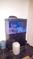 20201125_214813.jpg