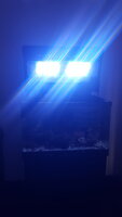 20201121_123923.jpg