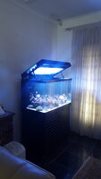 20201121_124012.jpg