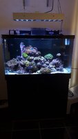 20201227_122942.jpg
