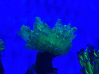 418726D1-5C33-4F51-80C9-027FA32D6AA1.jpeg