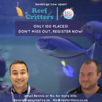 Screenshot 2021-04-16 at 10.45.15.png