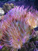 IMG_20170207_160025.jpg