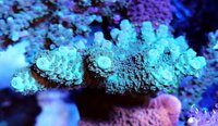 IMG_20210821_201146.jpg