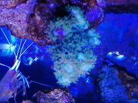 IMG_20210830_194557.jpg