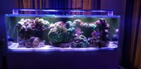 20211102_185141.jpg