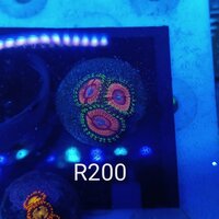 frags for sale