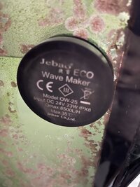 6DBC2F9B-D6A0-48E3-90C0-F183430A1F25.jpeg