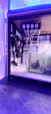 20220706_160745.jpg