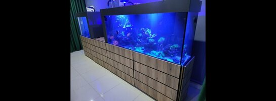 2 in one marine tank