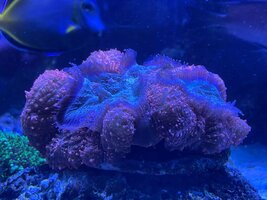 IMG-20220724-WA0029.jpg