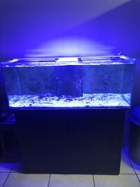 250L Marine Aquarium with a 60L sump and a 3000l/h Jabao pump(return pump) Whatsapp me fot more info... 0619717394