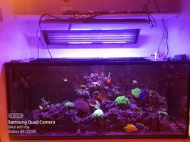 Zetlight Qmaven ZT-6600 II Marine LED unit for sale
