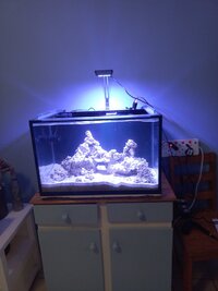 20230519_170119.jpg
