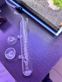 IMG_0317.jpeg