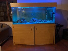 700ℓ Marine fish tank for sale