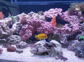 20240314_192151.jpg