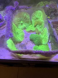 IMG_7439.jpeg