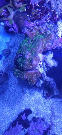 20260103_184934.jpg