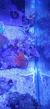 20260103_184923.jpg