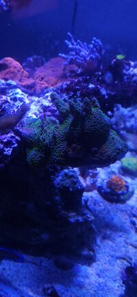 20260103_184801.jpg