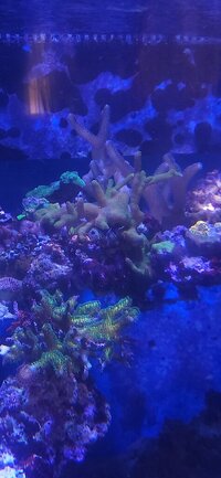 20251226_111328.jpg