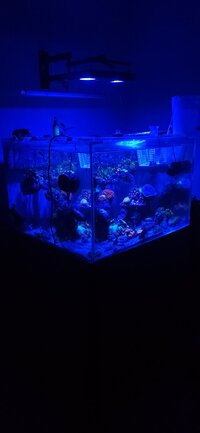20250513_214419.jpg
