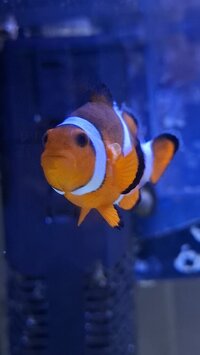 20260410_193433 (Large).jpg