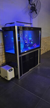 Aquaria 1500x600x800