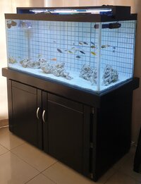 Complete Marine Aquarium