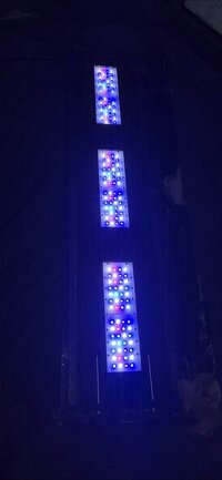 Zetlight QMaven 2 6800